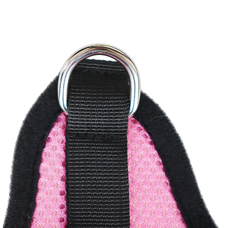 Nylon Mesh Harness and Leash