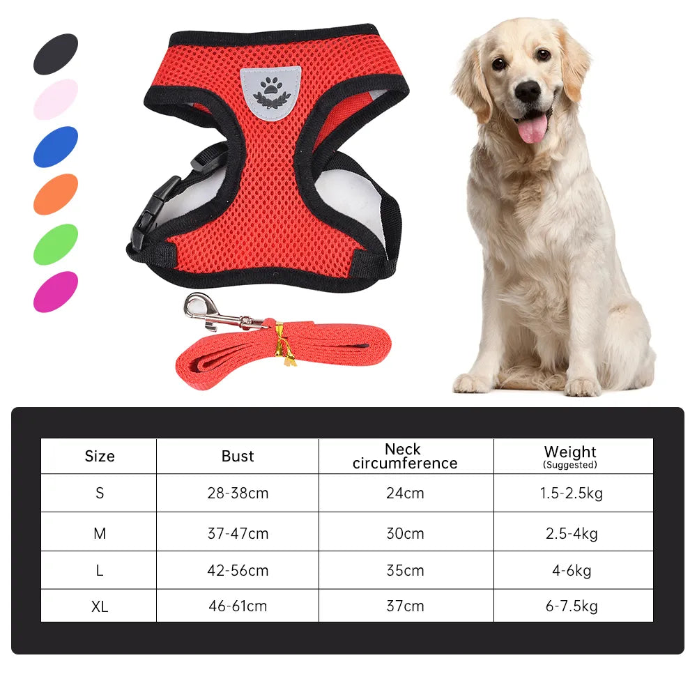 Nylon Mesh Harness and Leash