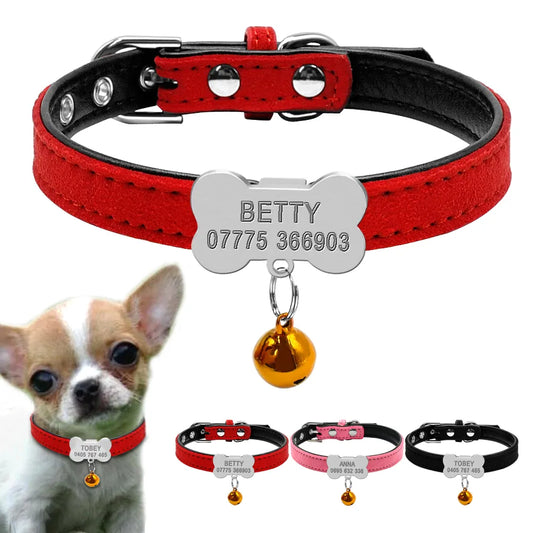 Pawsitively Yours Collar