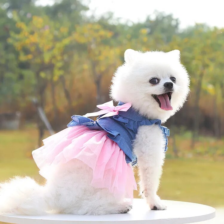 Posh Pet Couture