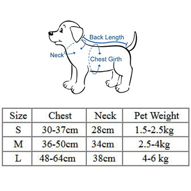 Breathable Mesh Harness and Leash Set