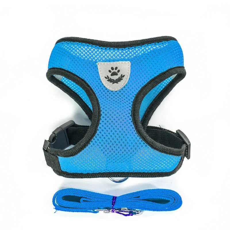 Breathable Mesh Harness and Leash Set
