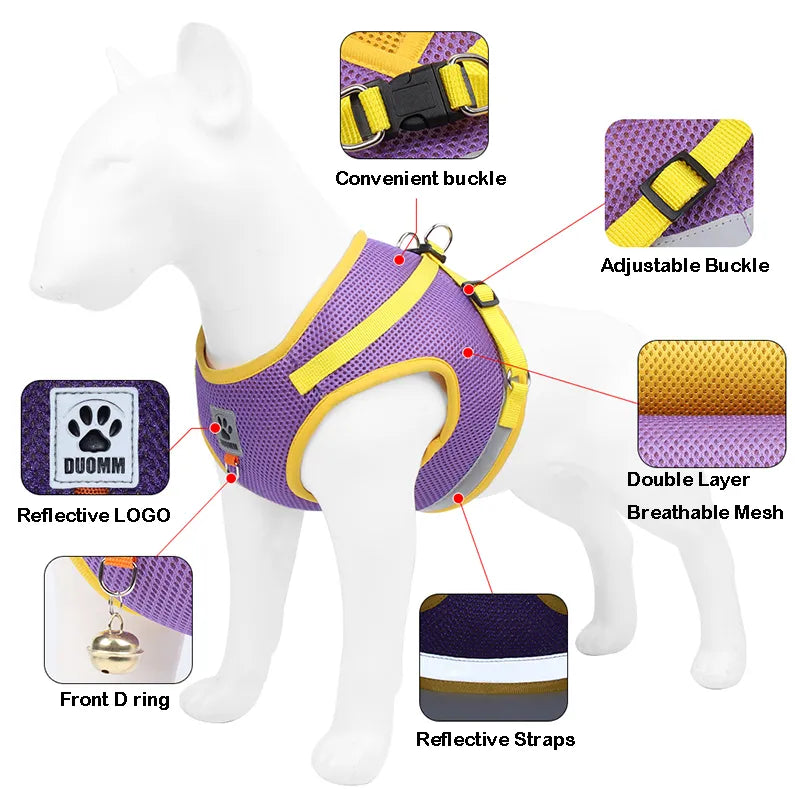 Reflective Safety Dog Harness Set