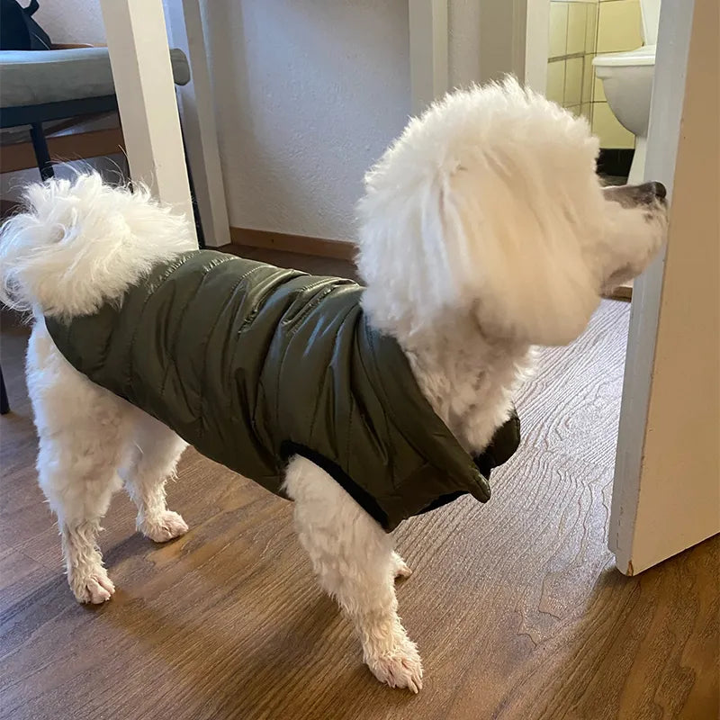 Chihuahua Winter Dog Vest Jacket for Dogs & Cats