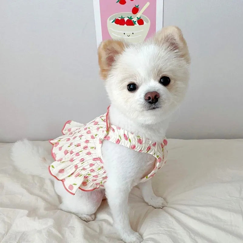 Summer Chi Dress