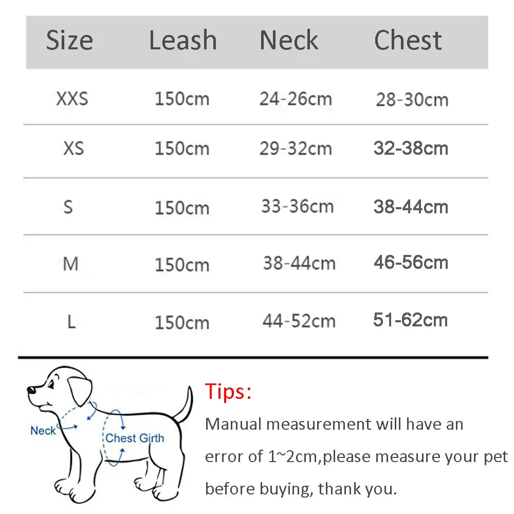 Harness Leash Set for Petite Paws
