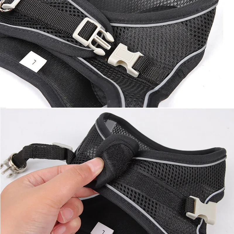 Harness Leash Set for Petite Paws