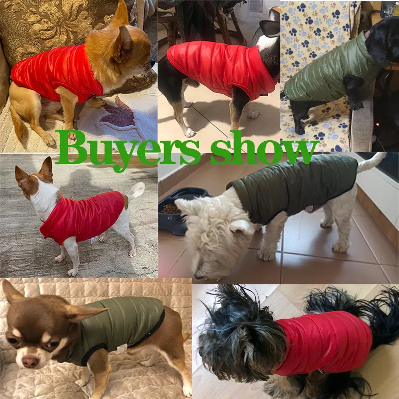 Chihuahua Winter Dog Vest Jacket for Dogs & Cats