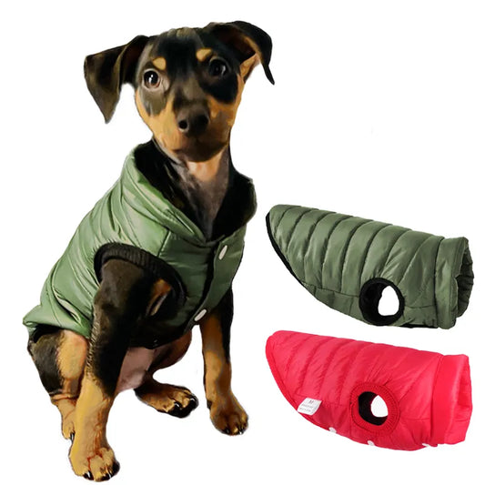Chihuahua Winter Dog Vest Jacket for Dogs & Cats