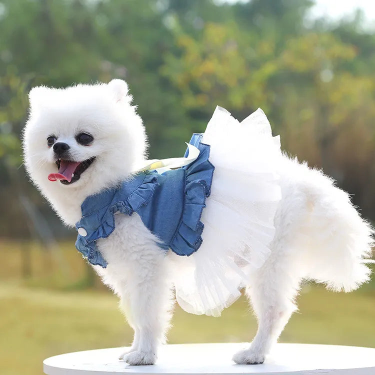 Posh Pet Couture