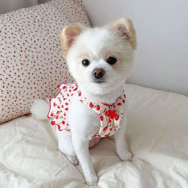 Summer Chi Dress