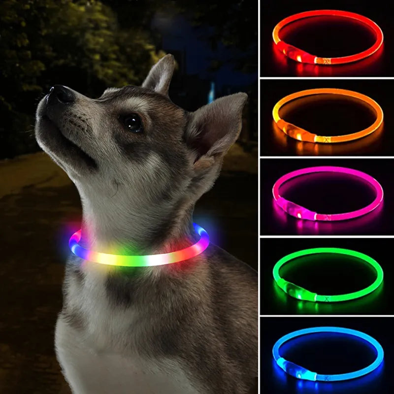 Reflective LED Dog Collar - Safety and Style for Pets