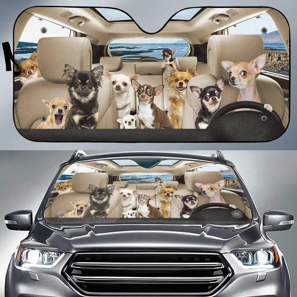 Chihuahua Car Sun Shade