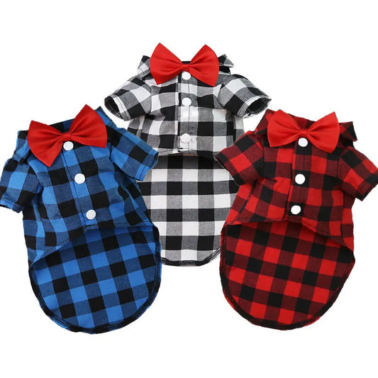 Bowtie Classic