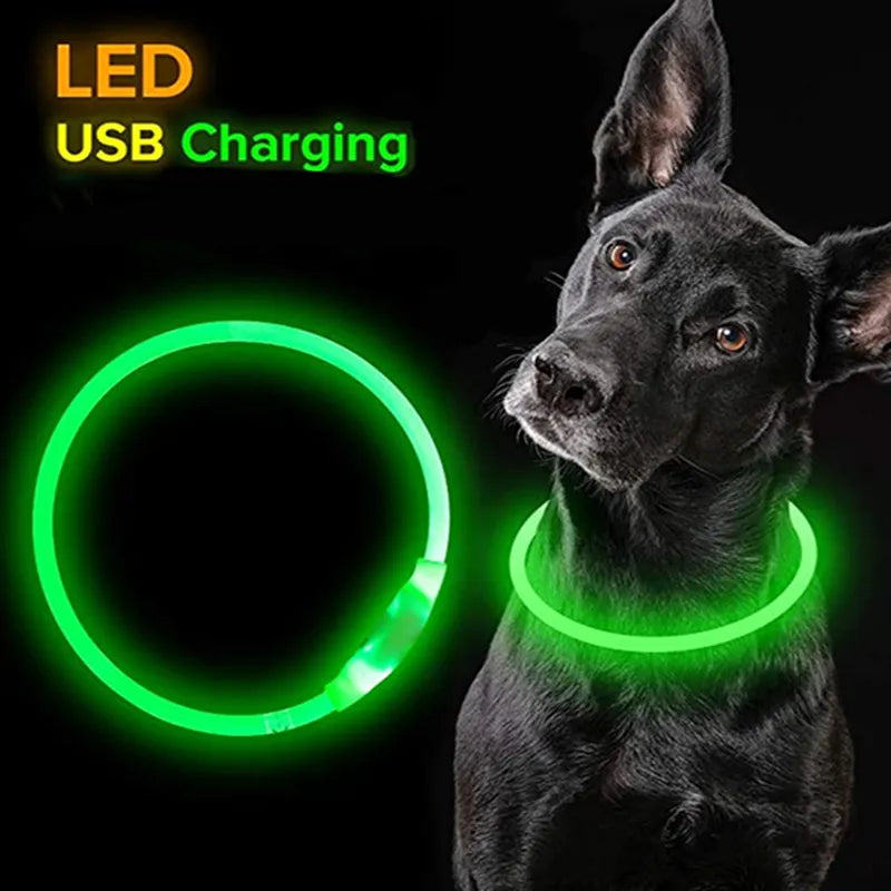 Reflective LED Dog Collar - Safety and Style for Pets