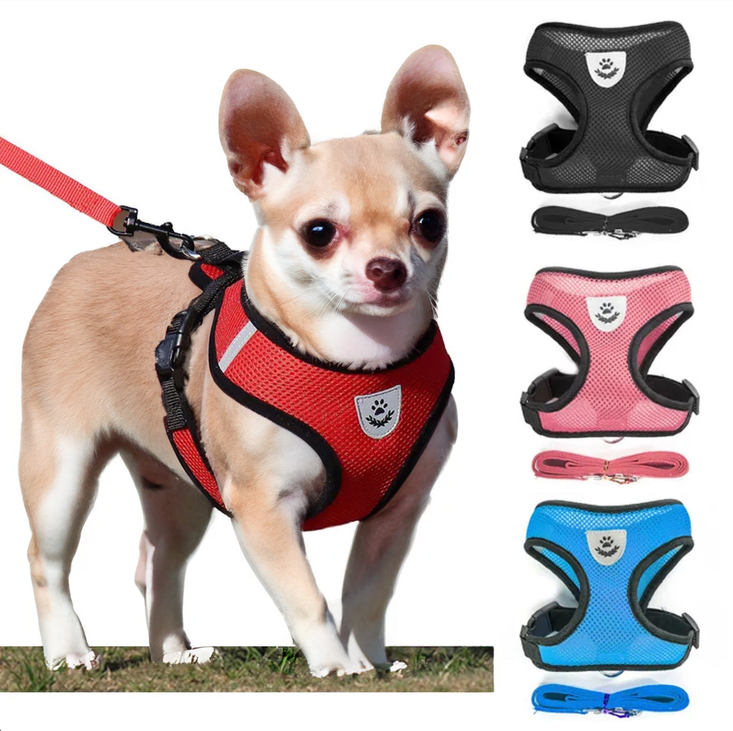 Breathable Mesh Harness and Leash Set