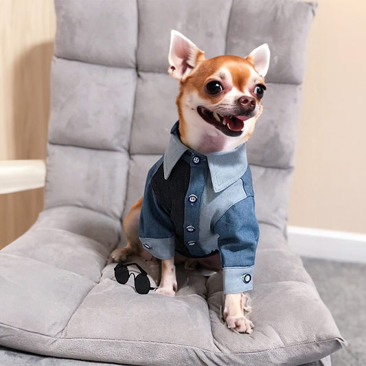 Summer Blue Dog Shirt