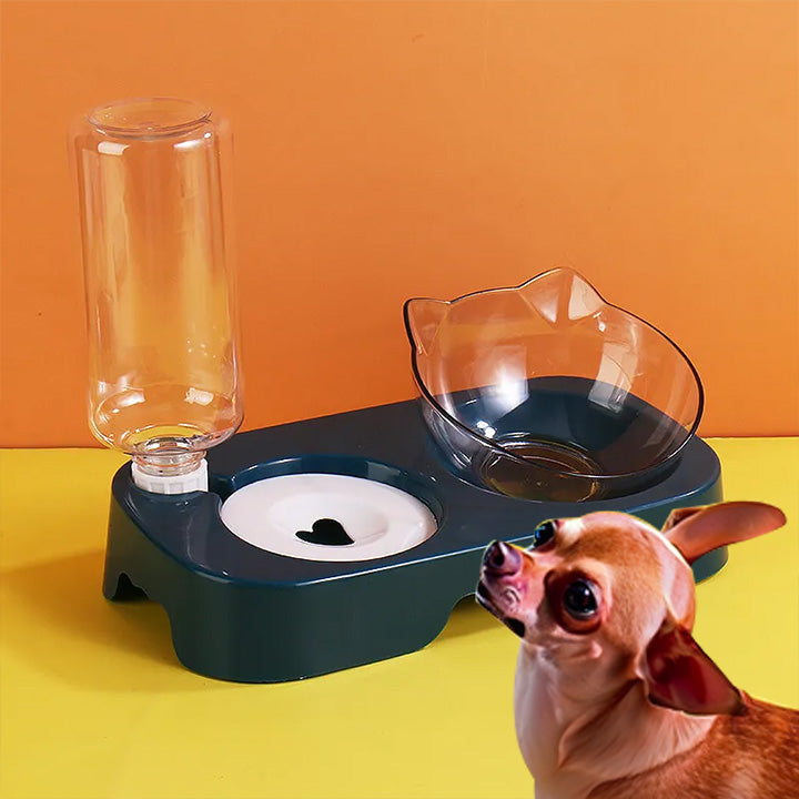 Bowl with Stand Automatic Water Storage