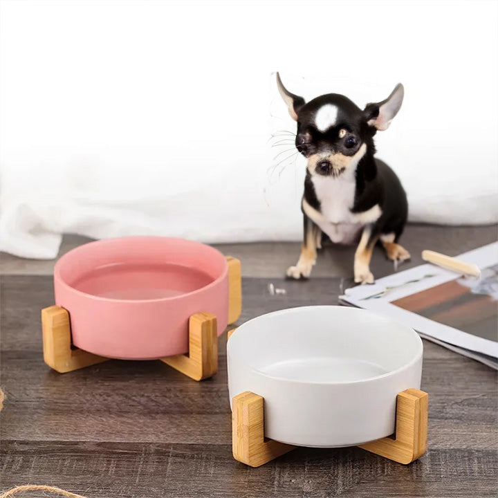 Ceramic Oasis Double Bowl with Wooden Stand