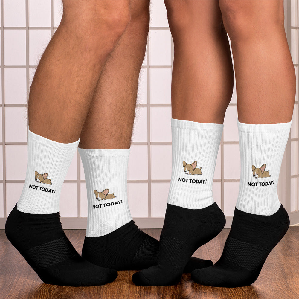 Chihuahua Not Today Two-Toned Crew Socks