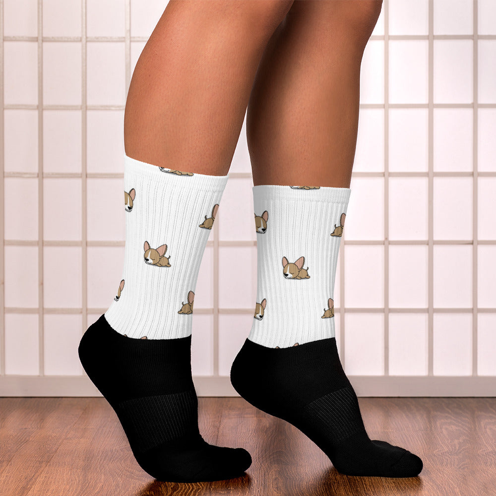 Sleepy Chi Socks - Chihuahua We Love