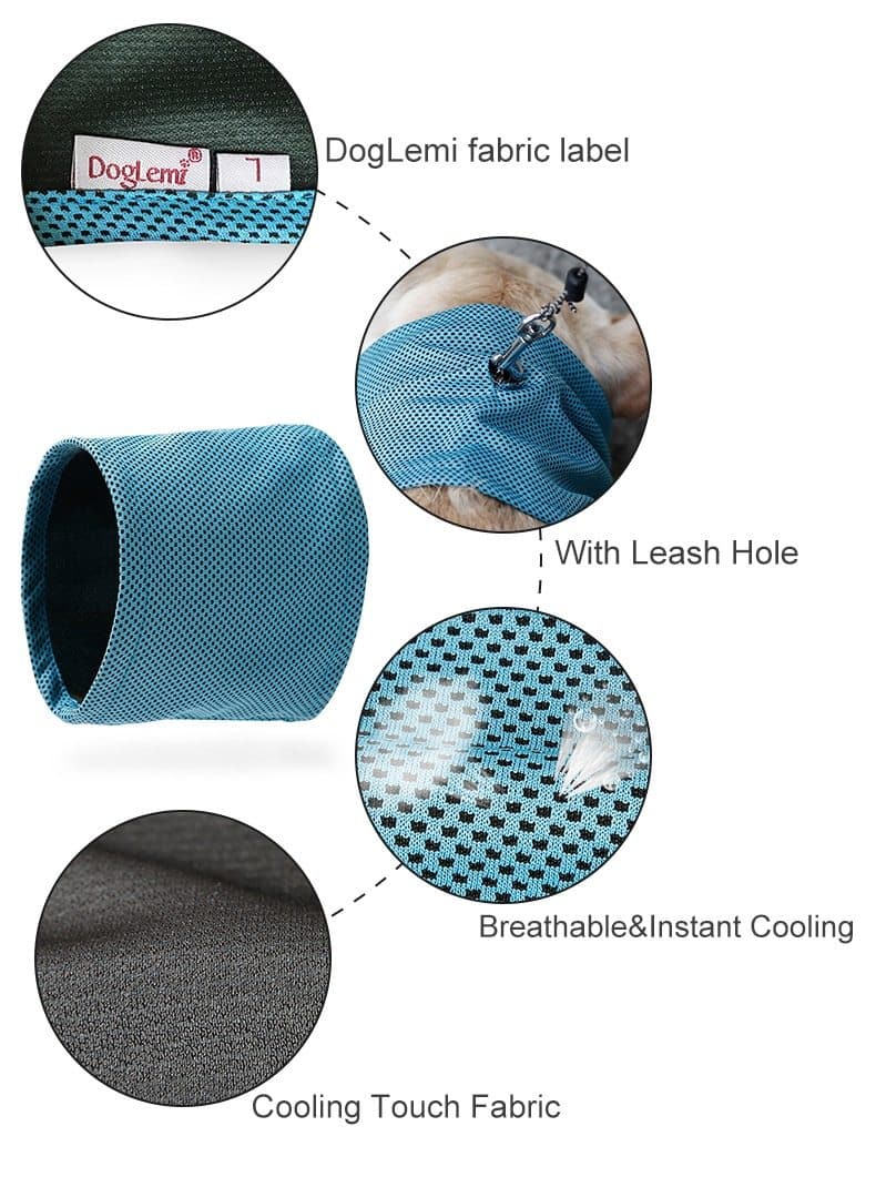 Instant Ice Chihuahua Cooling Bandana - Chihuahua We Love