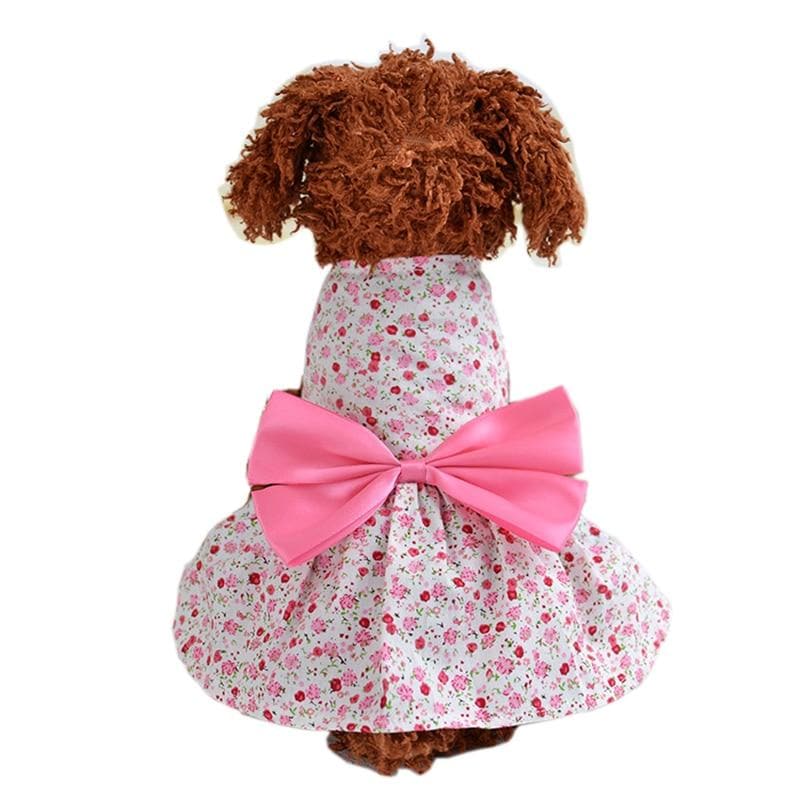 Cute BowTie Chihuahua Dress - Chihuahua We Love