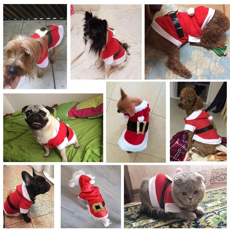 Santa Hoodie - Chihuahua We Love