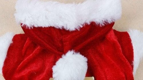 Santa Hoodie - Chihuahua We Love