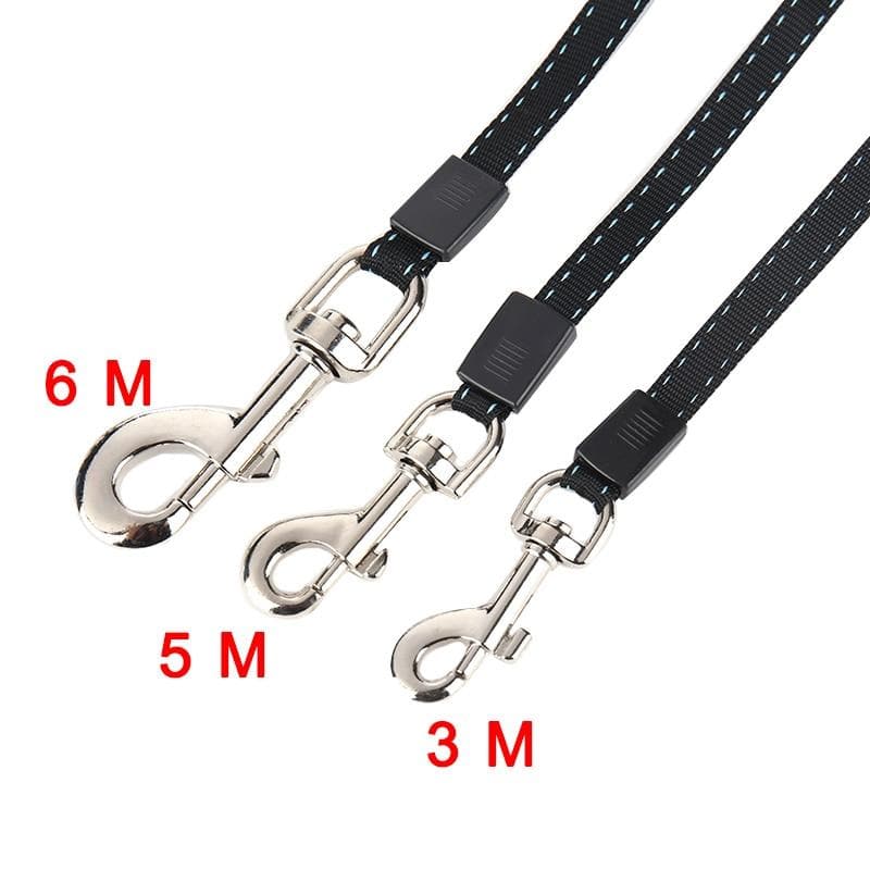 Strong Nylon Extending Leash - Chihuahua We Love