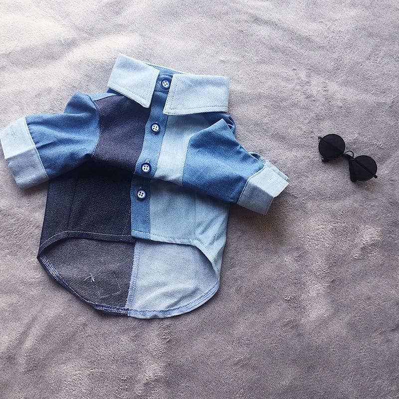 Summer Blue Dog Shirt - Chihuahua We Love