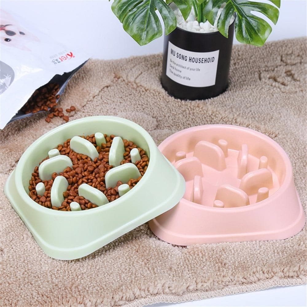 Anti Choke Food Bowl - Chihuahua We Love