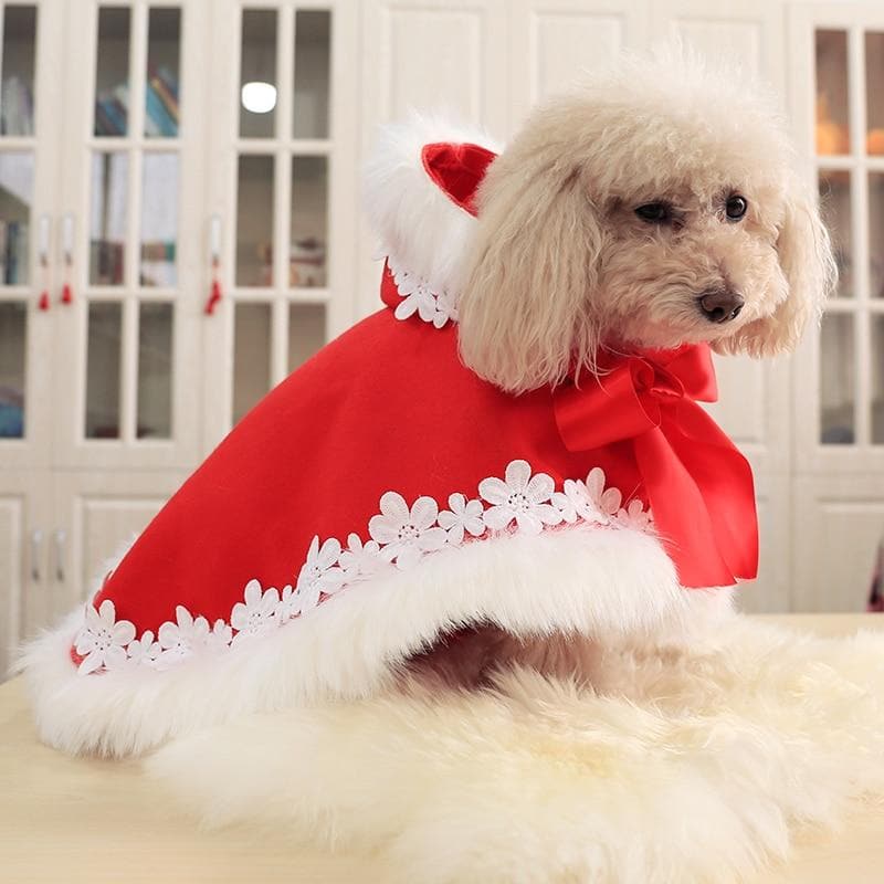 Christmas Chihuahua Coat - Chihuahua We Love