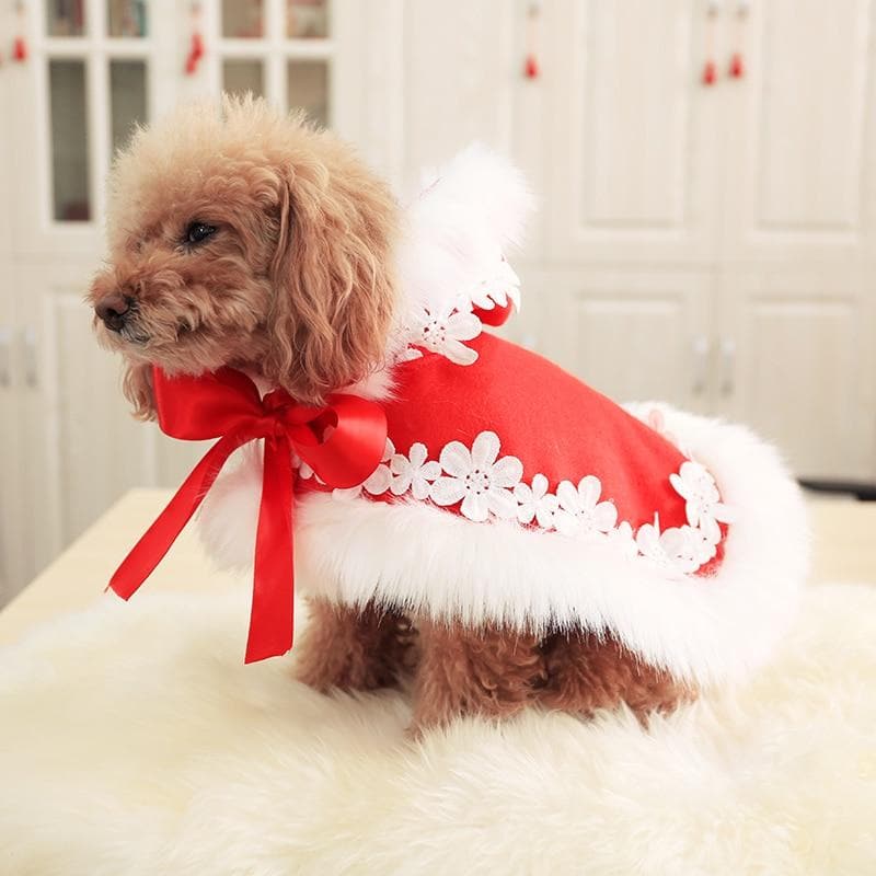 Christmas Chihuahua Coat - Chihuahua We Love