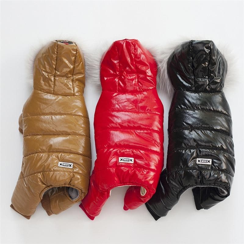 Chihuahua Fancy Jacket - Chihuahua We Love