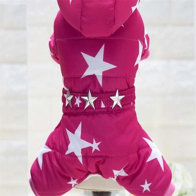 Chihuahua Fancy Jacket - Chihuahua We Love