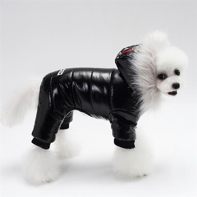 Chihuahua Fancy Jacket - Chihuahua We Love