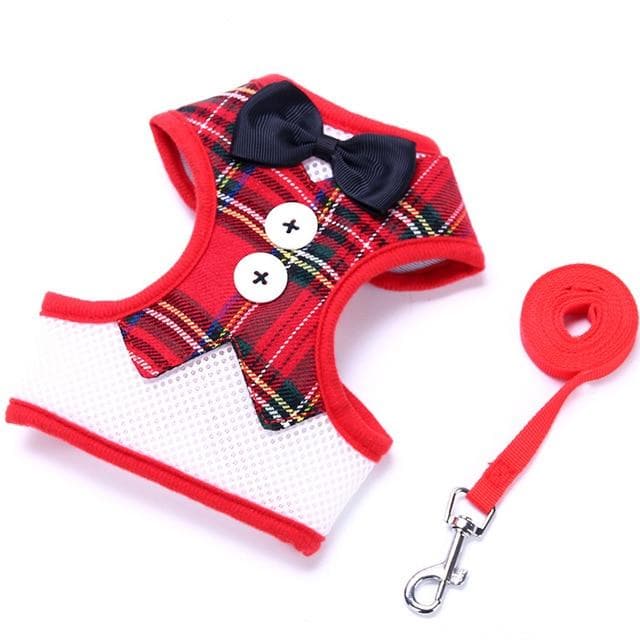 Elegant Bowtie Harness and Leash Set - Chihuahua We Love