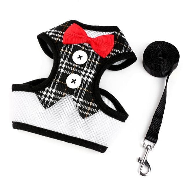 Elegant Bowtie Harness and Leash Set - Chihuahua We Love