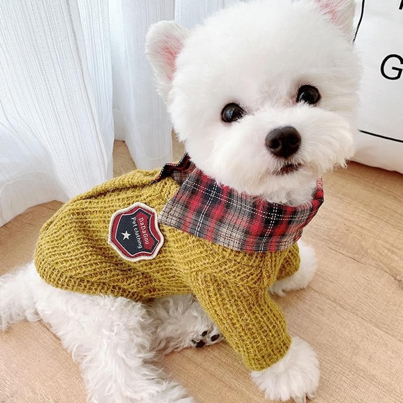 Knitted Warm Puppy Sweater - Chihuahua We Love