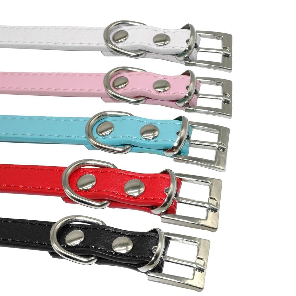 Bling Chihuahua Personalized Collar - Chihuahua We Love
