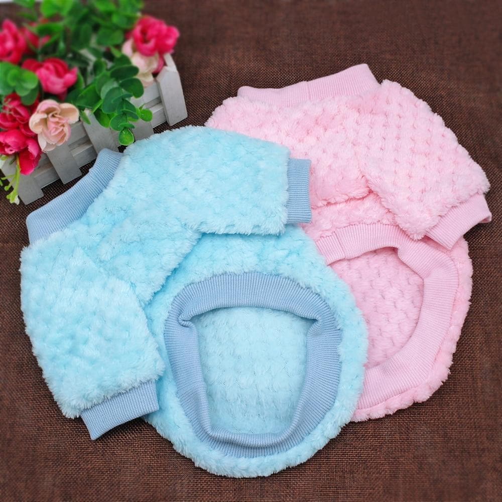 Chihuahua Winter Sweater - Chihuahua We Love