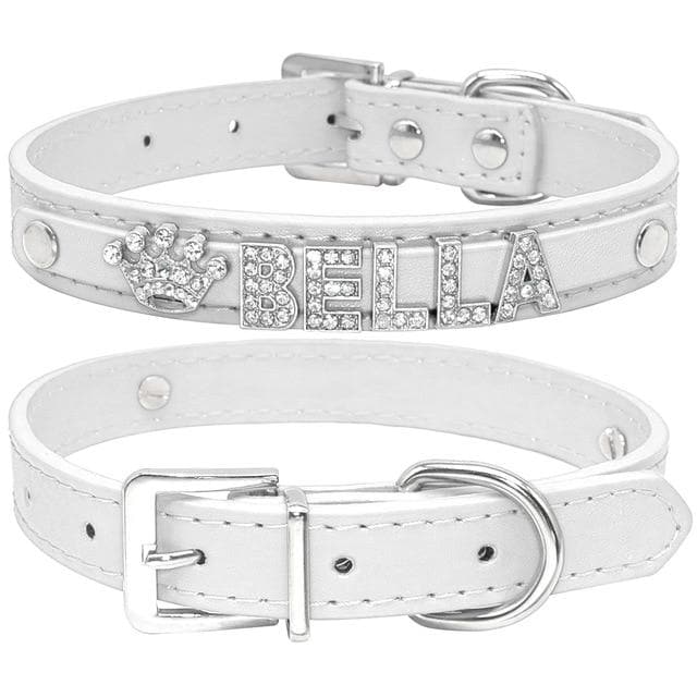 Bling Chihuahua Personalized Collar - Chihuahua We Love