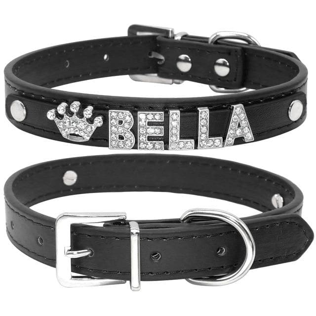 Bling Chihuahua Personalized Collar - Chihuahua We Love