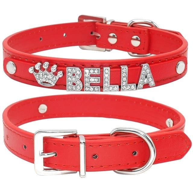Bling Chihuahua Personalized Collar - Chihuahua We Love