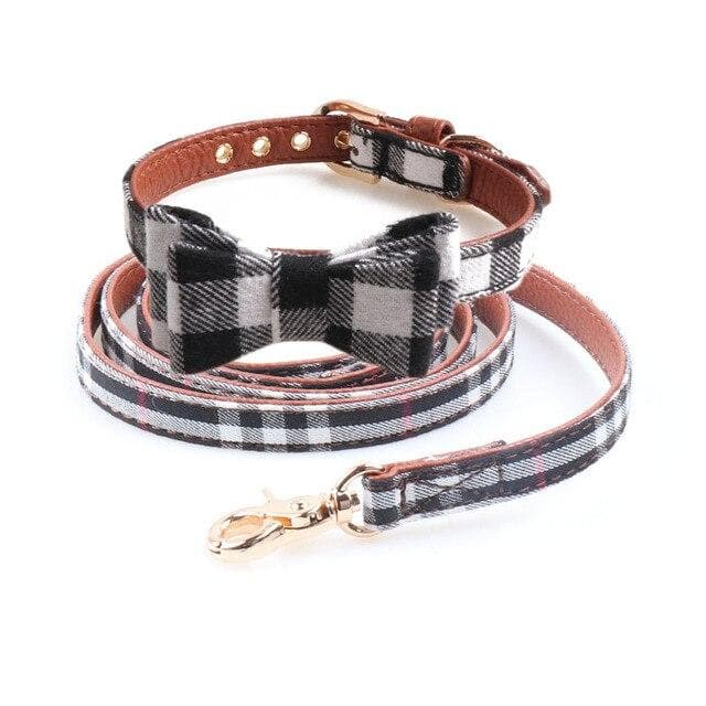 BowTie Collar & Leash - Chihuahua We Love