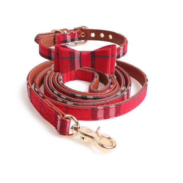 BowTie Collar & Leash - Chihuahua We Love