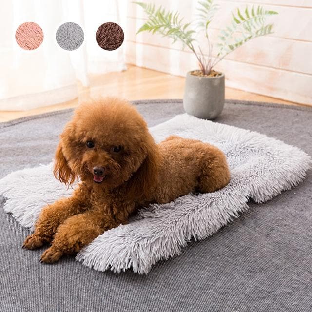 Chihuahua Sleeping Pad Blanket - Chihuahua We Love