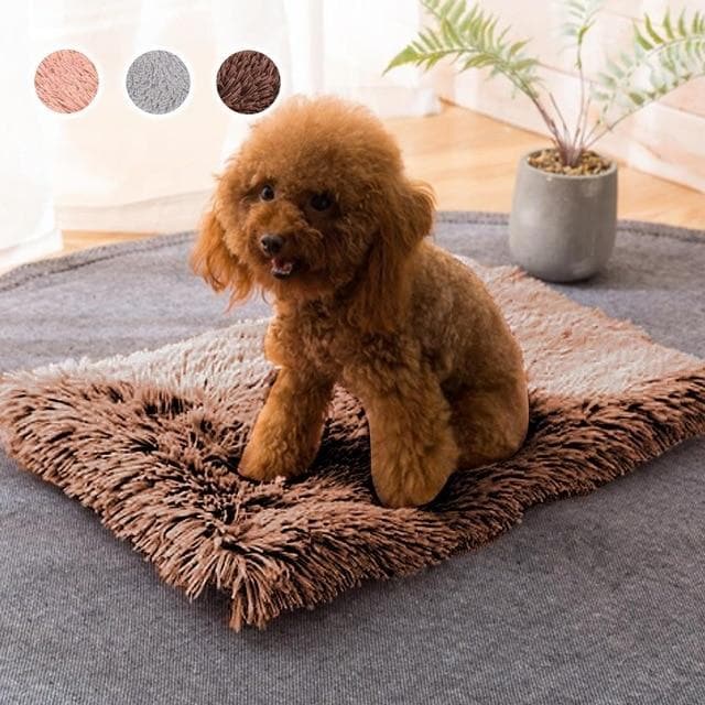 Chihuahua Sleeping Pad Blanket - Chihuahua We Love
