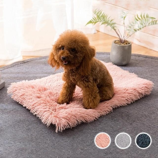 Chihuahua Sleeping Pad Blanket - Chihuahua We Love